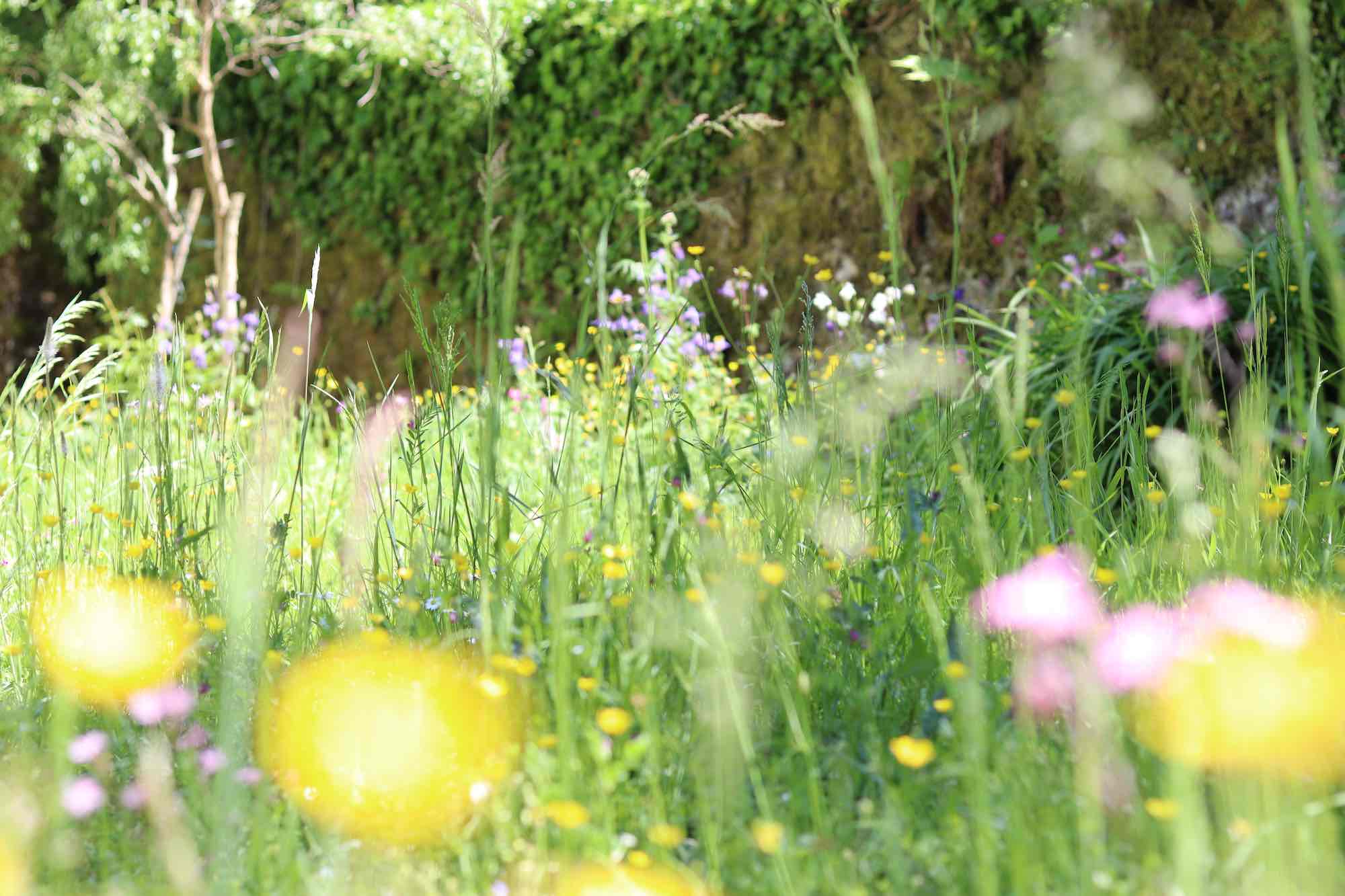 SALVATICO Outdoor Garden